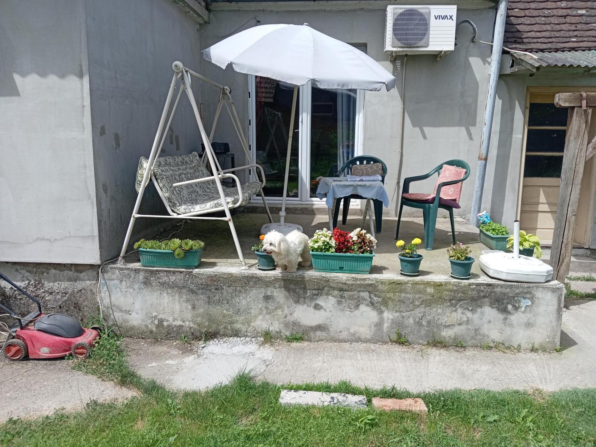 Affittacamere "Poetsko Cose" Nikole Tesle 86 Morović Esterno foto