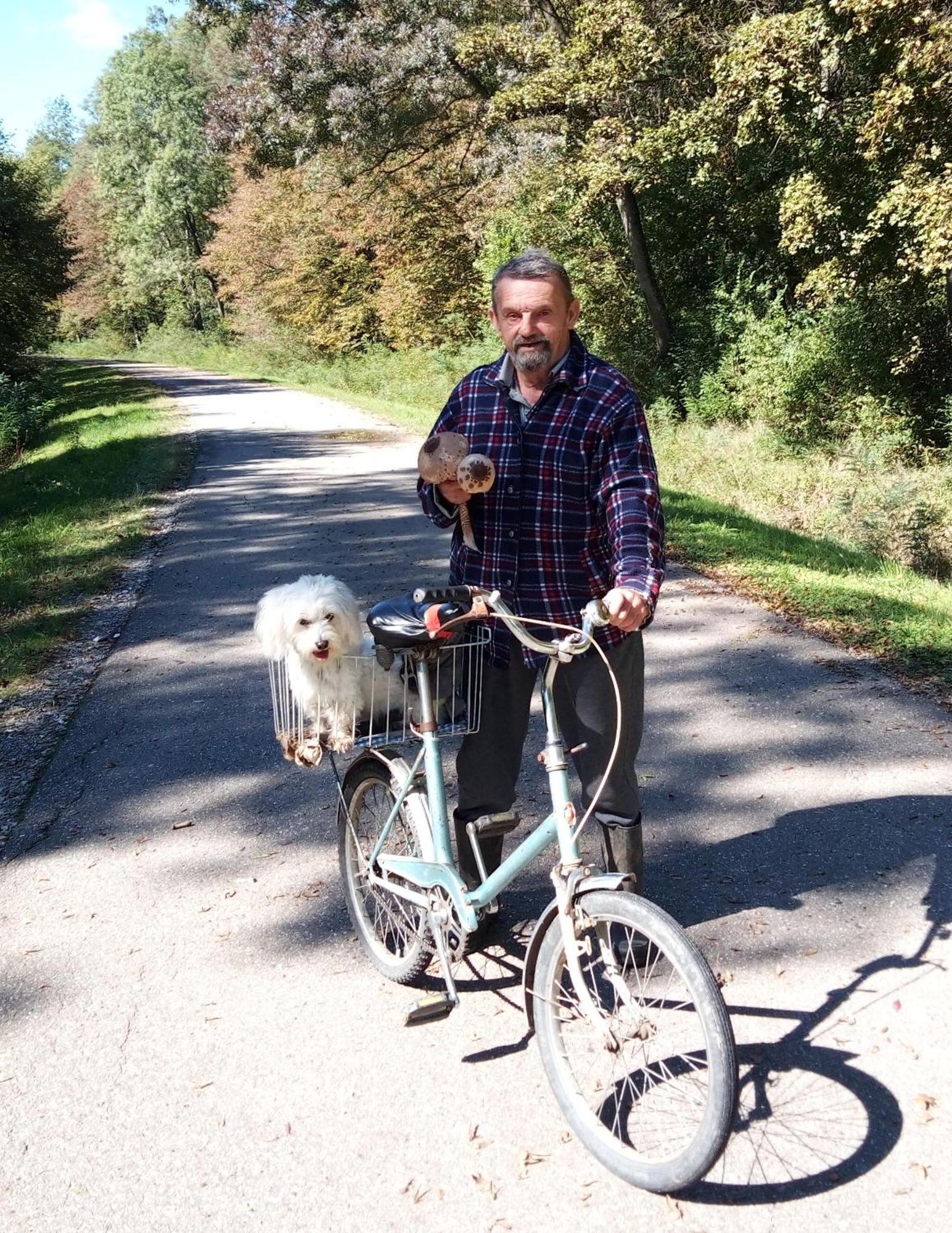 Affittacamere "Poetsko Cose" Nikole Tesle 86 Morović Esterno foto